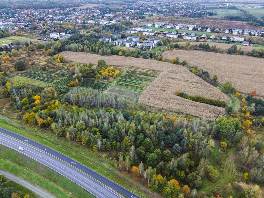 Teren przyszłego parku Wojnowskiego, widok z drona.