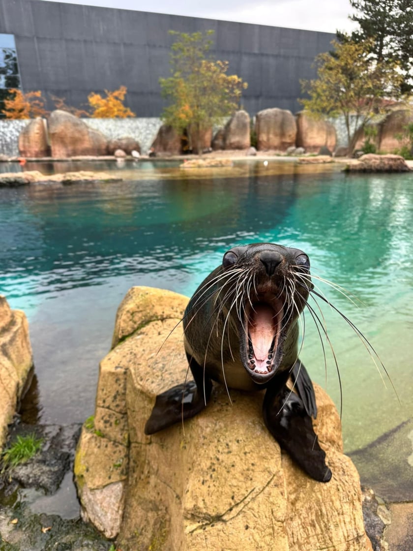 Nowe mieszkanki wrocławskiego zoo