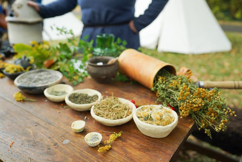 Akcja i piknik WROśnij we WROcław cieszyła się sporym zainteresowaniem wrocławian