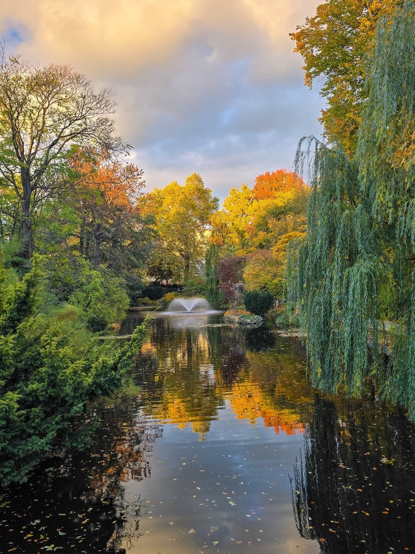 Jesień w Ogrodzie Botanicznym, kt&oacute;ry bedzie czynny do 31 października