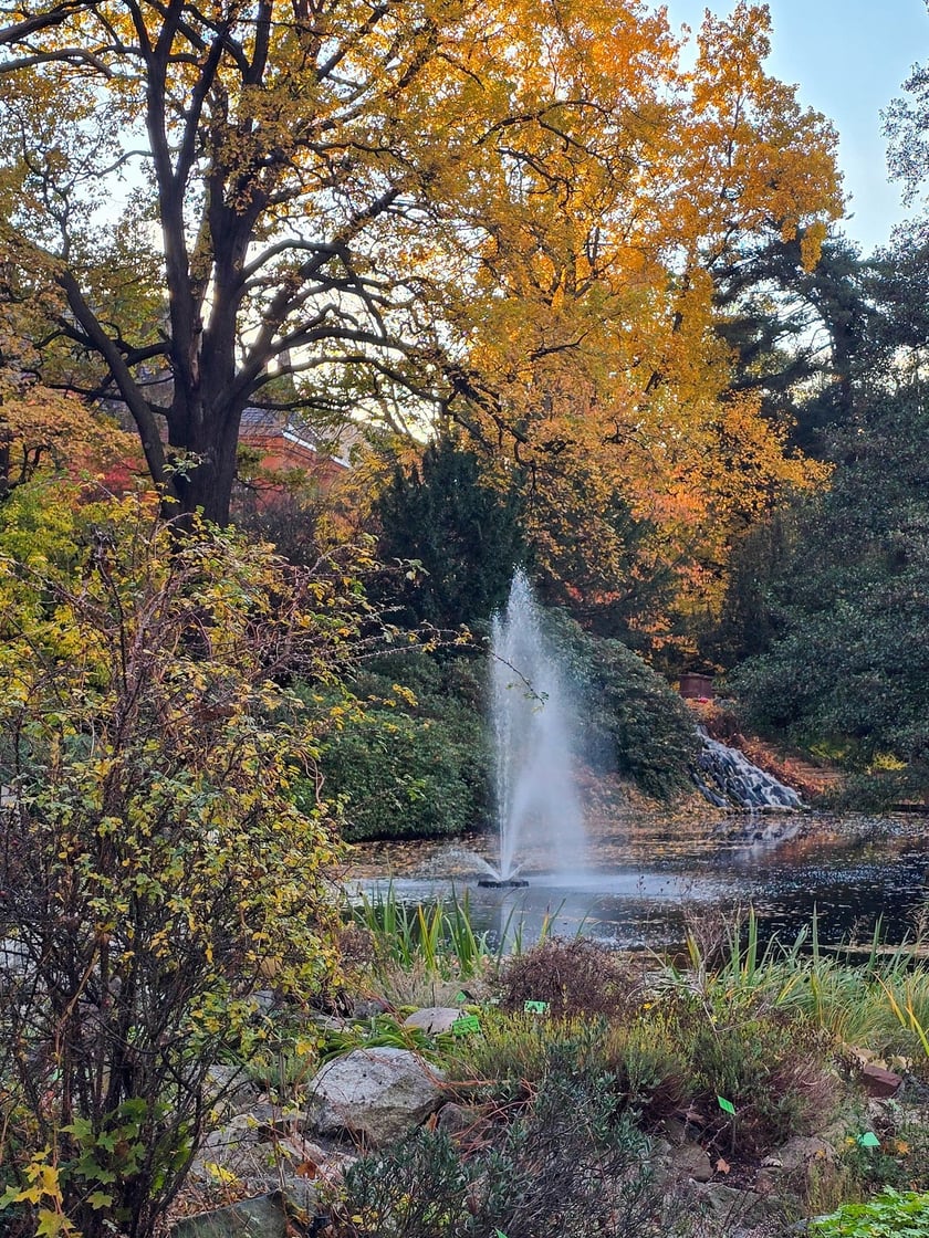 Jesień w Ogrodzie Botanicznym, kt&oacute;ry bedzie czynny do 31 października