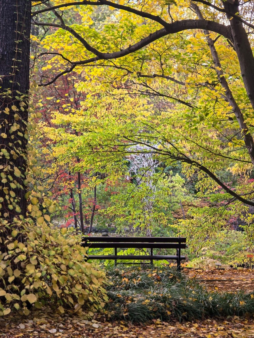 Jesień w Ogrodzie Botanicznym, kt&oacute;ry bedzie czynny do 31 października