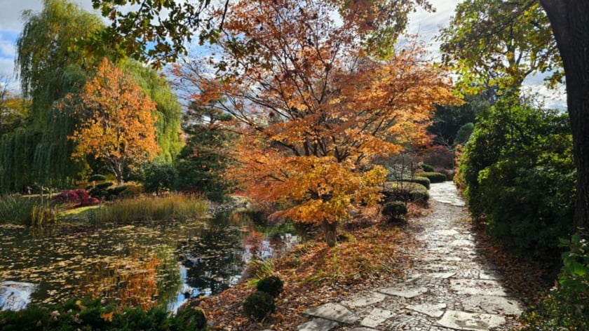 Ogród Japoński we Wrocławiu w jesiennej odsłone