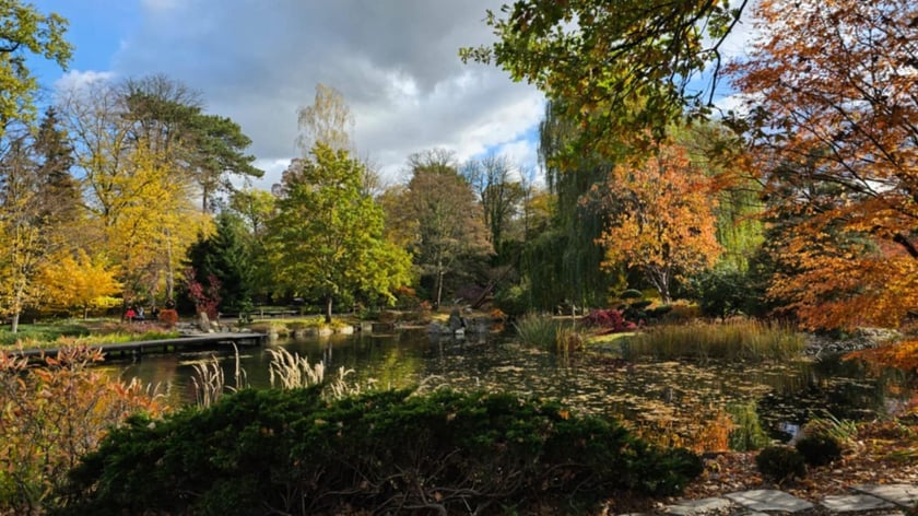 Ogród Japoński we Wrocławiu w jesiennej odsłone
