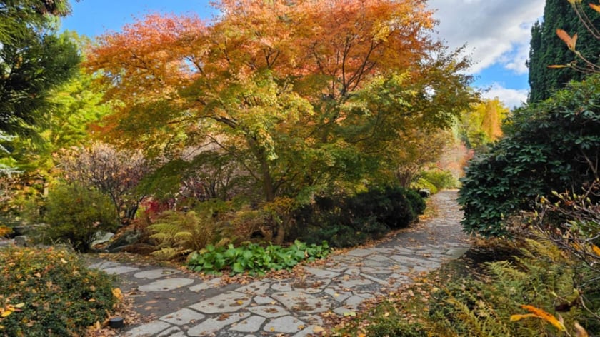 Ogród Japoński we Wrocławiu w jesiennej odsłone