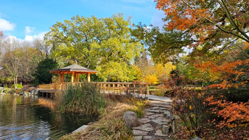 Ogród Japoński we Wrocławiu w jesiennej odsłone