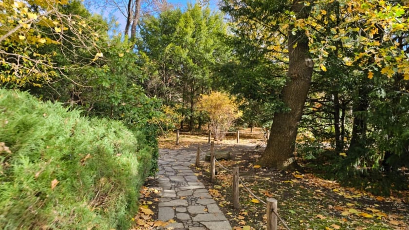 Ogród Japoński we Wrocławiu w jesiennej odsłone