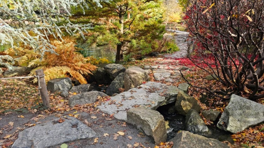 Ogród Japoński we Wrocławiu w jesiennej odsłone