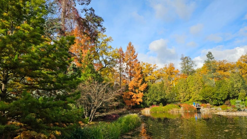 Ogród Japoński we Wrocławiu w jesiennej odsłone