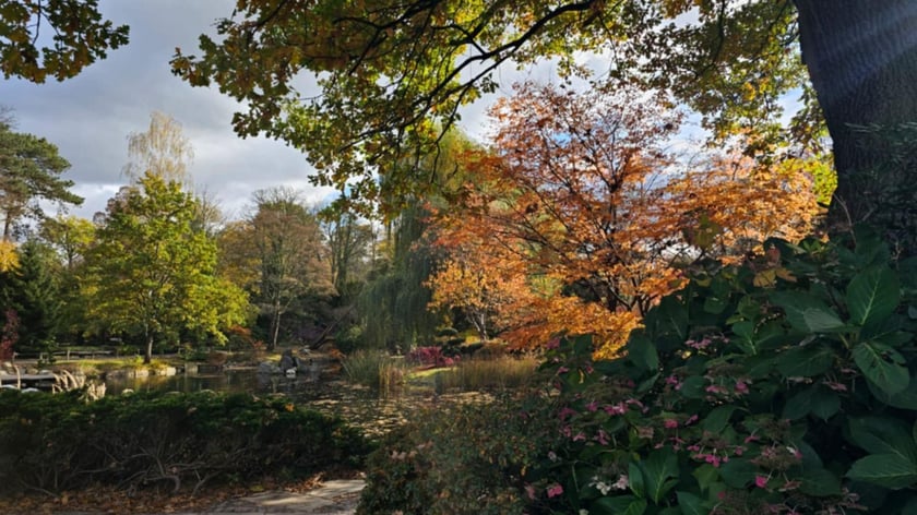 Ogród Japoński we Wrocławiu w jesiennej odsłone