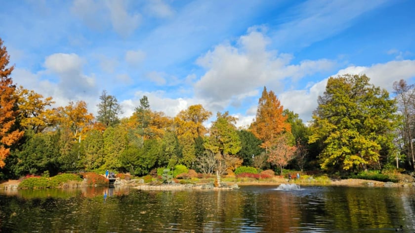 Ogród Japoński we Wrocławiu w jesiennej odsłone