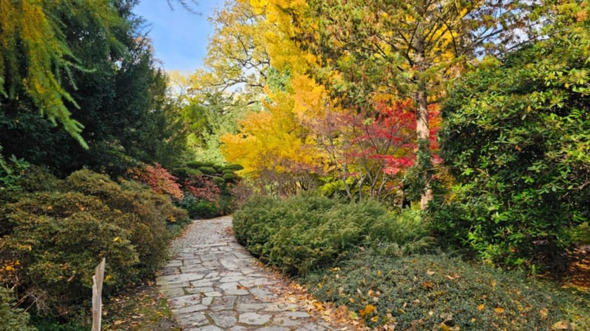 Ogród Japoński we Wrocławiu w jesiennej odsłone