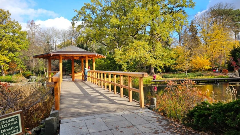 Ogród Japoński we Wrocławiu w jesiennej odsłone