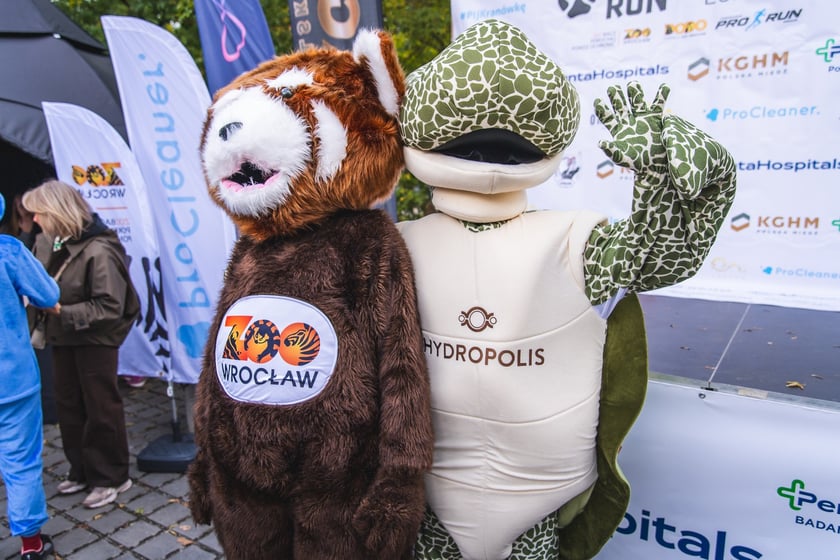 Wild Run 2025 we wrocławskim zoo