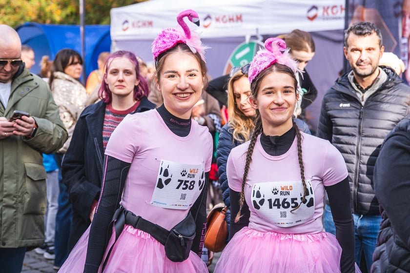 Wild Run 2025 we wrocławskim zoo