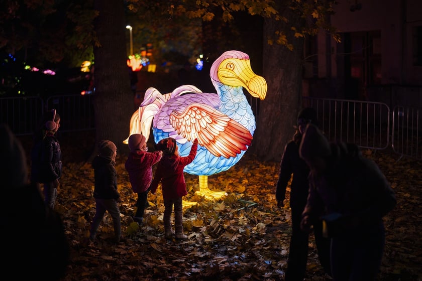 Wystawa garden of Lights-Ogr&oacute;d Świateł &bdquo;Dzika Ameryka&rdquo; potrwa w Zoo Wrocław od 31 października do 1 marca 2026