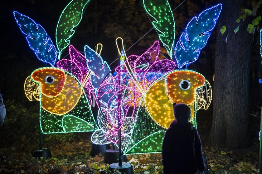 Wystawa garden of Lights-Ogr&oacute;d Świateł &bdquo;Dzika Ameryka&rdquo; potrwa w Zoo Wrocław od 31 października do 1 marca 2026