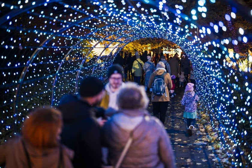 Wystawa garden of Lights-Ogr&oacute;d Świateł &bdquo;Dzika Ameryka&rdquo; potrwa w Zoo Wrocław od 31 października do 1 marca 2026
