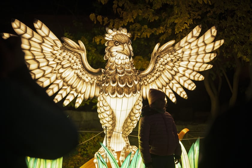 Wystawa garden of Lights-Ogr&oacute;d Świateł &bdquo;Dzika Ameryka&rdquo; potrwa w Zoo Wrocław od 31 października do 1 marca 2026