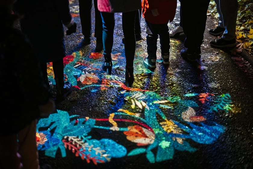 Wystawa garden of Lights-Ogr&oacute;d Świateł &bdquo;Dzika Ameryka&rdquo; potrwa w Zoo Wrocław od 31 października do 1 marca 2026