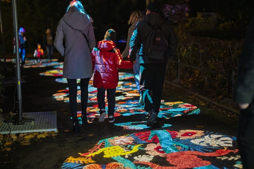 Wystawa garden of Lights-Ogr&oacute;d Świateł &bdquo;Dzika Ameryka&rdquo; potrwa w Zoo Wrocław od 31 października do 1 marca 2026