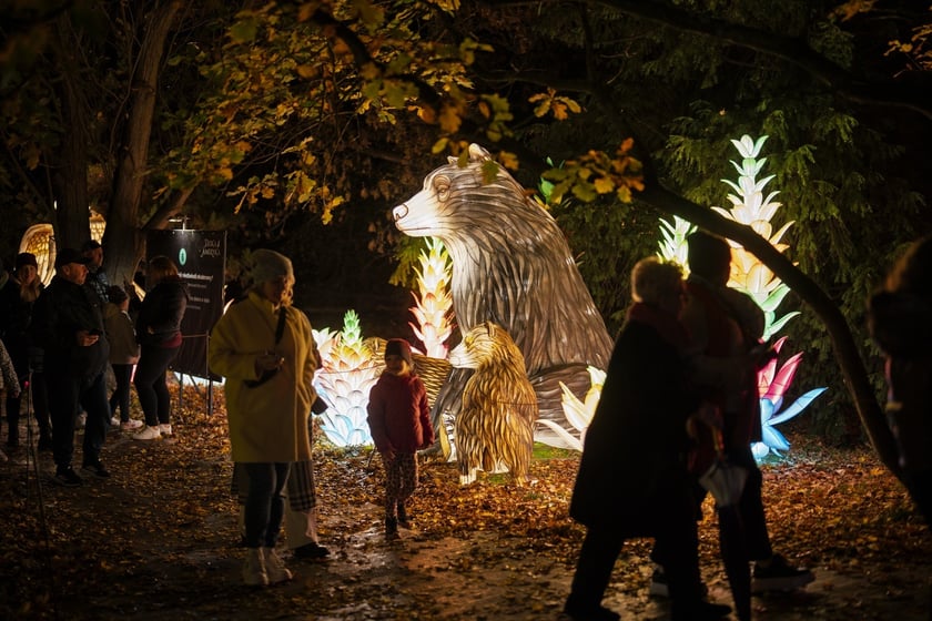 Wystawa garden of Lights-Ogr&oacute;d Świateł &bdquo;Dzika Ameryka&rdquo; potrwa w Zoo Wrocław od 31 października do 1 marca 2026