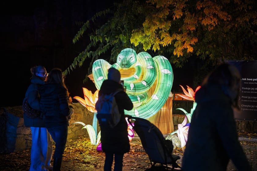 Wystawa garden of Lights-Ogr&oacute;d Świateł &bdquo;Dzika Ameryka&rdquo; potrwa w Zoo Wrocław od 31 października do 1 marca 2026