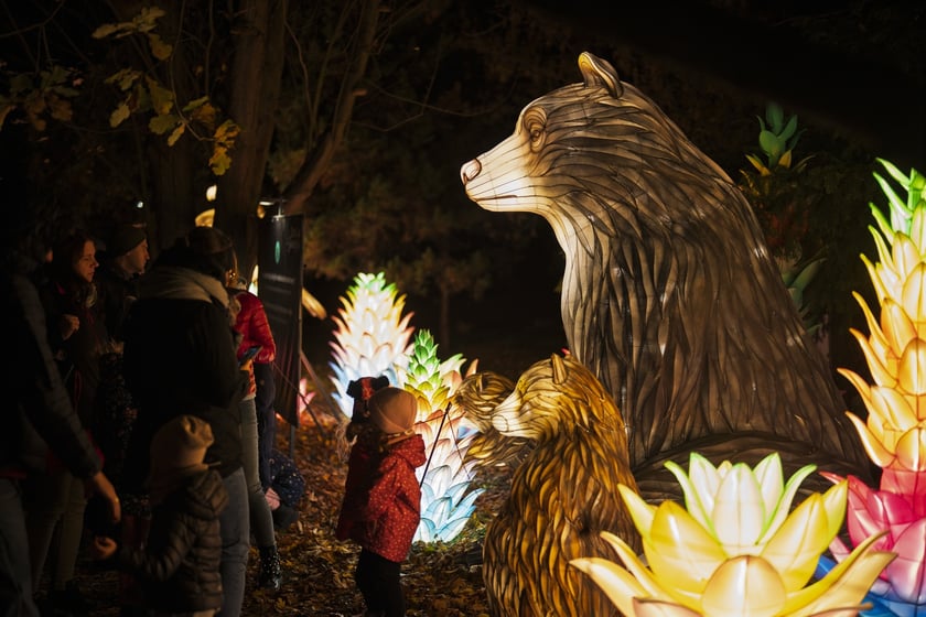 Wystawa garden of Lights-Ogr&oacute;d Świateł &bdquo;Dzika Ameryka&rdquo; potrwa w Zoo Wrocław od 31 października do 1 marca 2026