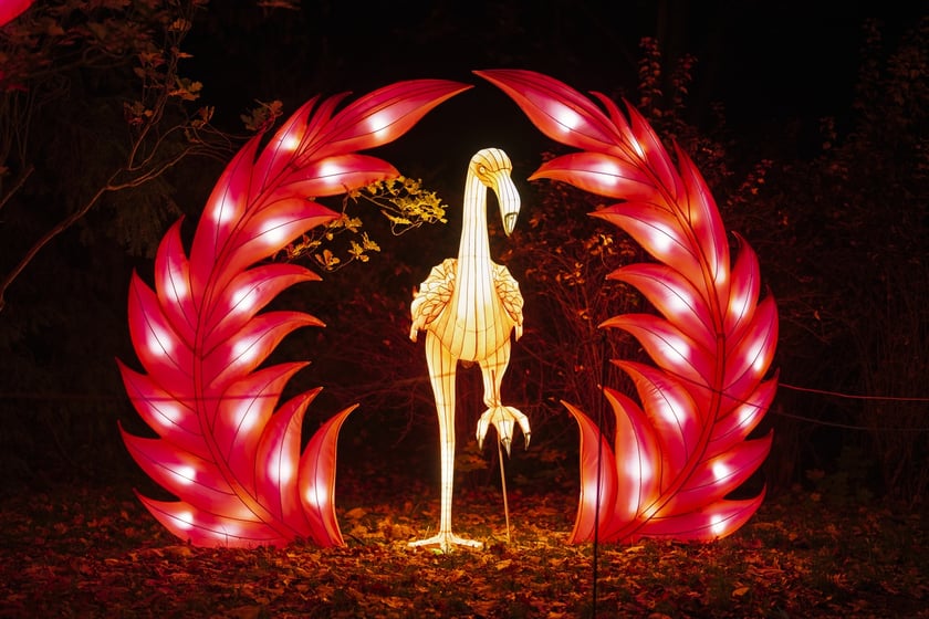 Wystawa garden of Lights-Ogr&oacute;d Świateł &bdquo;Dzika Ameryka&rdquo; potrwa w Zoo Wrocław od 31 października do 1 marca 2026