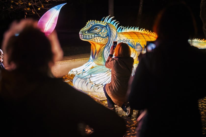 Wystawa garden of Lights-Ogr&oacute;d Świateł &bdquo;Dzika Ameryka&rdquo; potrwa w Zoo Wrocław od 31 października do 1 marca 2026