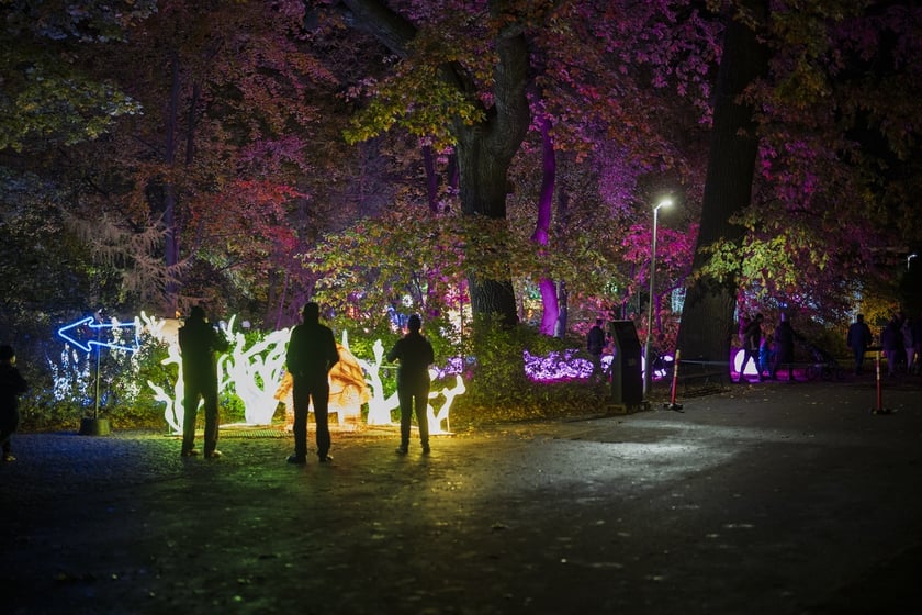 Wystawa garden of Lights-Ogr&oacute;d Świateł &bdquo;Dzika Ameryka&rdquo; potrwa w Zoo Wrocław od 31 października do 1 marca 2026