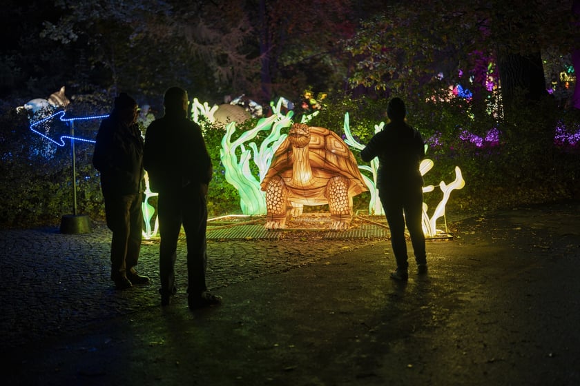 Wystawa garden of Lights-Ogr&oacute;d Świateł &bdquo;Dzika Ameryka&rdquo; potrwa w Zoo Wrocław od 31 października do 1 marca 2026