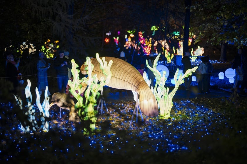 Wystawa garden of Lights-Ogr&oacute;d Świateł &bdquo;Dzika Ameryka&rdquo; potrwa w Zoo Wrocław od 31 października do 1 marca 2026