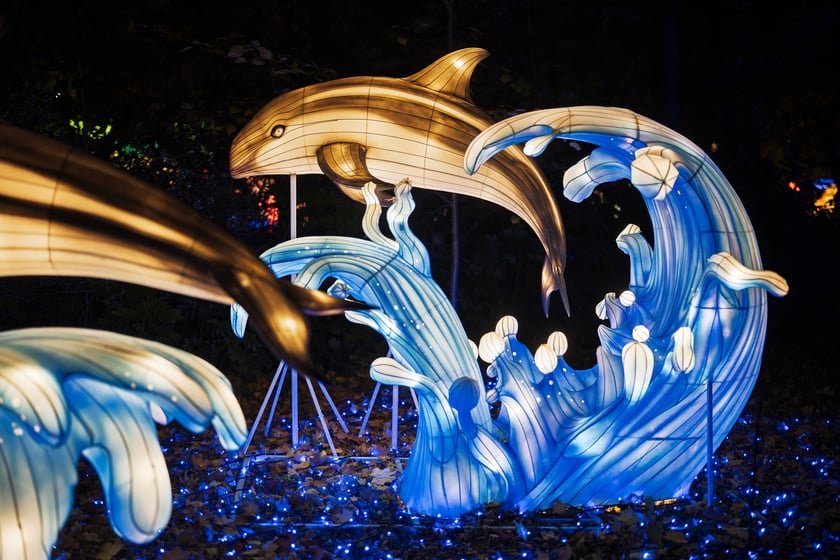 Wystawa garden of Lights-Ogr&oacute;d Świateł &bdquo;Dzika Ameryka&rdquo; potrwa w Zoo Wrocław od 31 października do 1 marca 2026