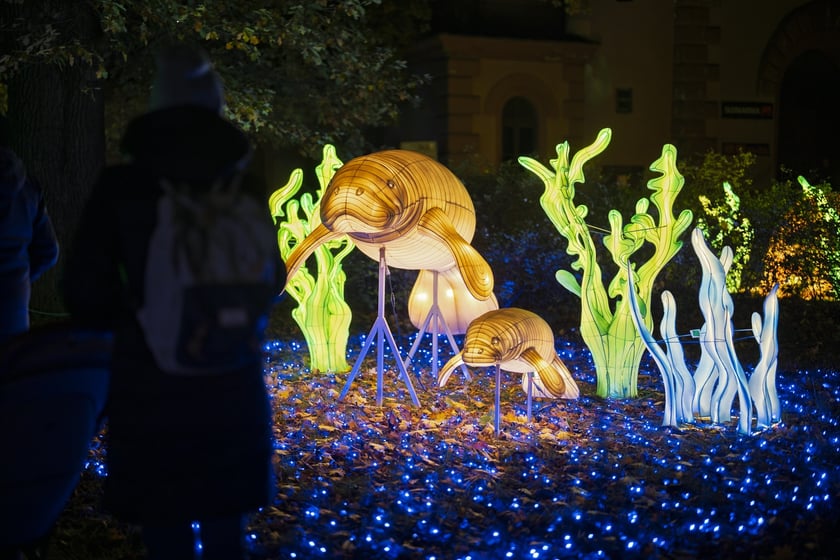 Wystawa garden of Lights-Ogr&oacute;d Świateł &bdquo;Dzika Ameryka&rdquo; potrwa w Zoo Wrocław od 31 października do 1 marca 2026