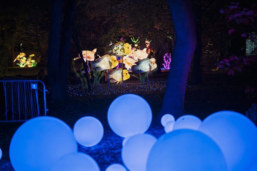 Wystawa garden of Lights-Ogr&oacute;d Świateł &bdquo;Dzika Ameryka&rdquo; potrwa w Zoo Wrocław od 31 października do 1 marca 2026