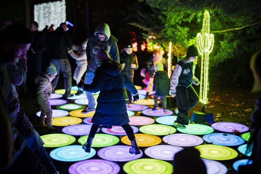 Wystawa garden of Lights-Ogr&oacute;d Świateł &bdquo;Dzika Ameryka&rdquo; potrwa w Zoo Wrocław od 31 października do 1 marca 2026