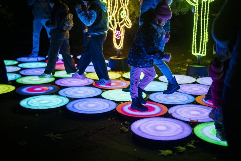 Wystawa garden of Lights-Ogr&oacute;d Świateł &bdquo;Dzika Ameryka&rdquo; potrwa w Zoo Wrocław od 31 października do 1 marca 2026