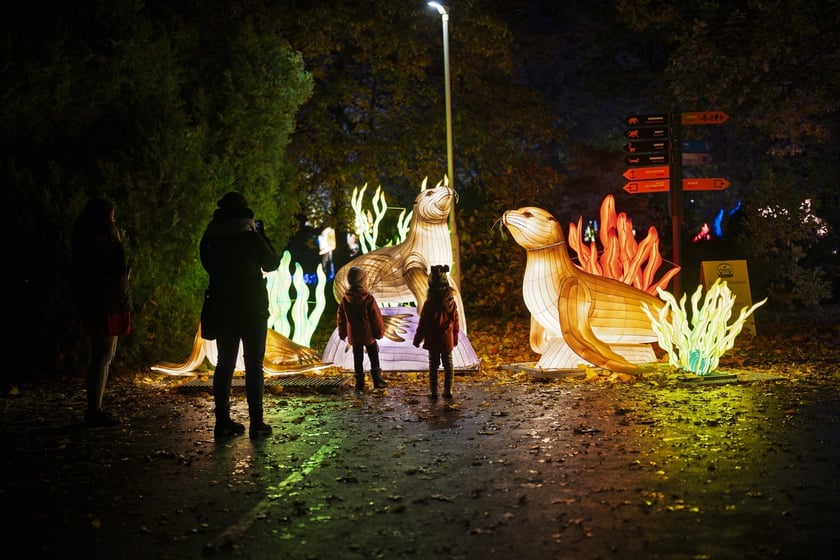 Wystawa garden of Lights-Ogr&oacute;d Świateł &bdquo;Dzika Ameryka&rdquo; potrwa w Zoo Wrocław od 31 października do 1 marca 2026