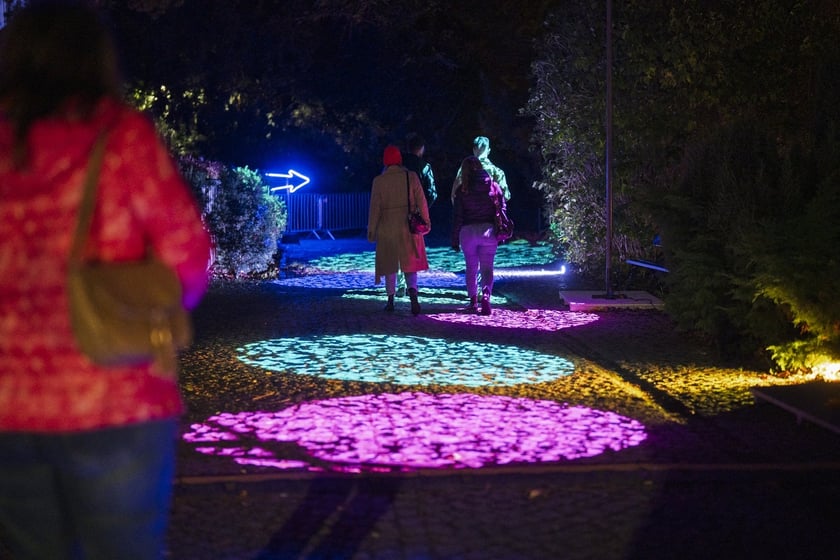 Wystawa garden of Lights-Ogr&oacute;d Świateł &bdquo;Dzika Ameryka&rdquo; potrwa w Zoo Wrocław od 31 października do 1 marca 2026