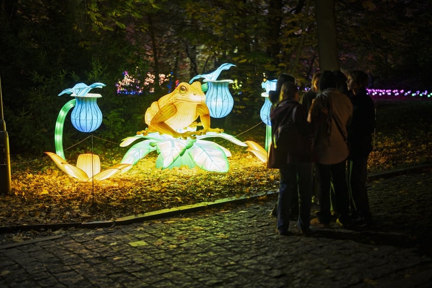 Wystawa garden of Lights-Ogr&oacute;d Świateł &bdquo;Dzika Ameryka&rdquo; potrwa w Zoo Wrocław od 31 października do 1 marca 2026