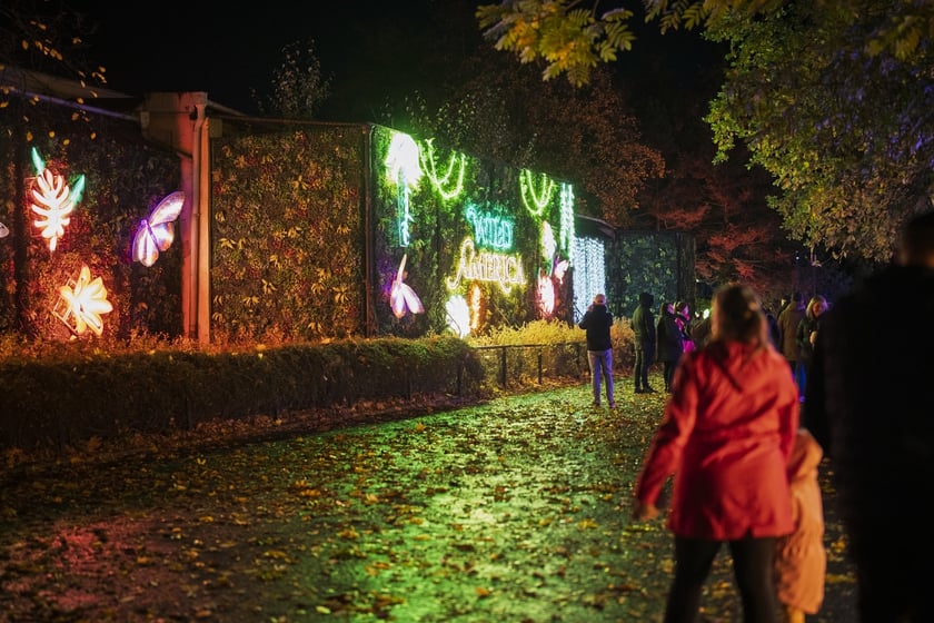 Wystawa garden of Lights-Ogr&oacute;d Świateł &bdquo;Dzika Ameryka&rdquo; potrwa w Zoo Wrocław od 31 października do 1 marca 2026