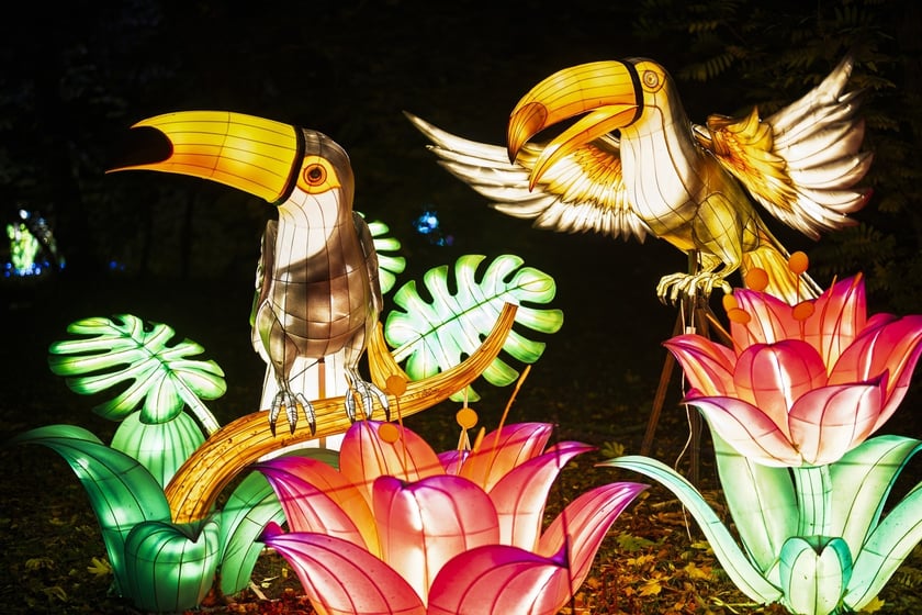 Wystawa garden of Lights-Ogr&oacute;d Świateł &bdquo;Dzika Ameryka&rdquo; potrwa w Zoo Wrocław od 31 października do 1 marca 2026