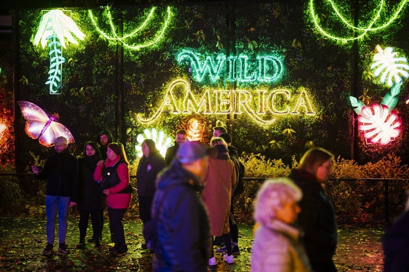 Wystawa garden of Lights-Ogr&oacute;d Świateł &bdquo;Dzika Ameryka&rdquo; potrwa w Zoo Wrocław od 31 października do 1 marca 2026