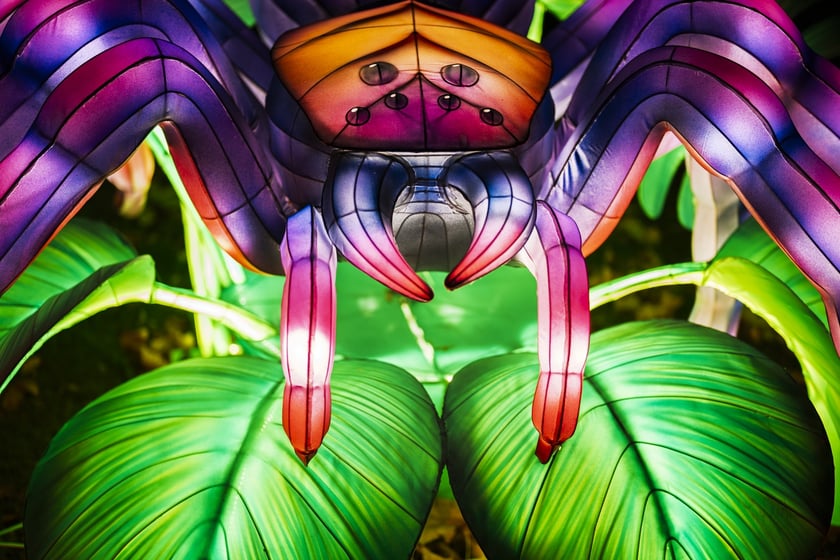 Wystawa garden of Lights-Ogr&oacute;d Świateł &bdquo;Dzika Ameryka&rdquo; potrwa w Zoo Wrocław od 31 października do 1 marca 2026