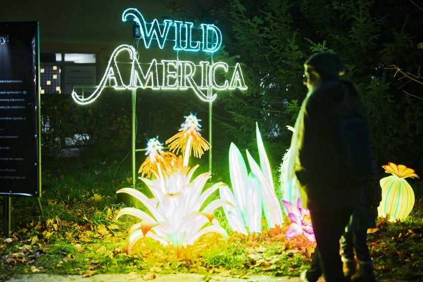 Wystawa garden of Lights-Ogr&oacute;d Świateł &bdquo;Dzika Ameryka&rdquo; potrwa w Zoo Wrocław od 31 października do 1 marca 2026