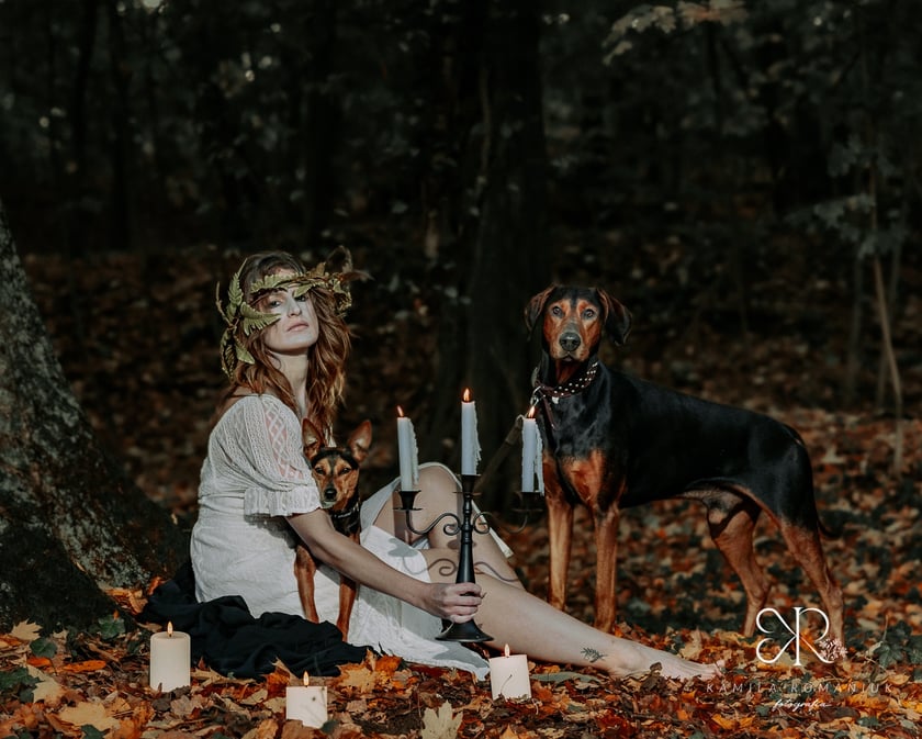 Halloweenowa sesja z podopiecznymi wrocławskiego Schroniska dla Bezdomnych Zwierząt.