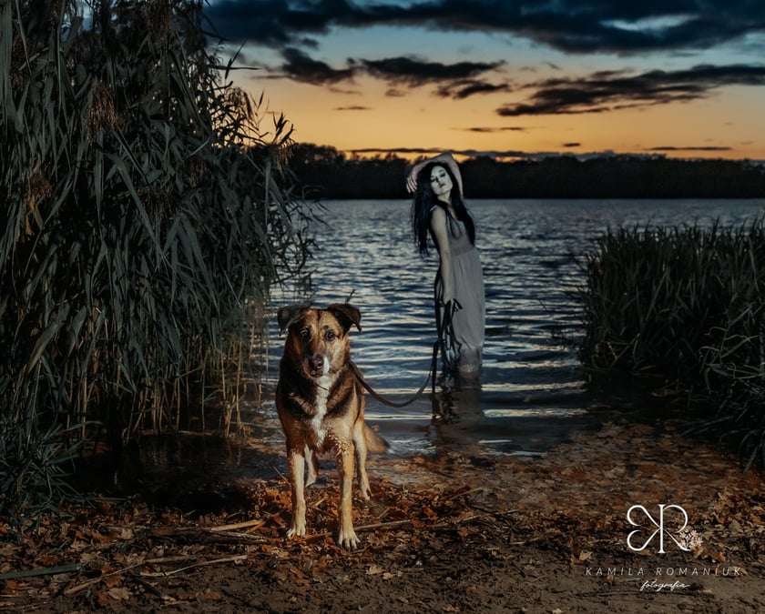 Halloweenowa sesja z podopiecznymi wrocławskiego Schroniska dla Bezdomnych Zwierząt.
