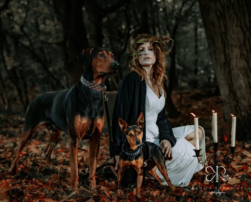 Halloweenowa sesja z podopiecznymi wrocławskiego Schroniska dla Bezdomnych Zwierząt.