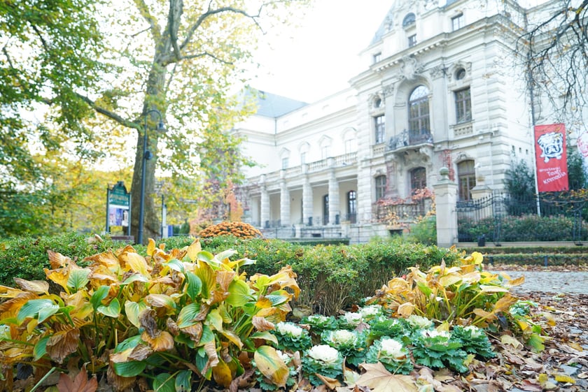 Jesienne nasadzenia rabat kwietnych, bylin i trwa ozdobnych - październik / listopad 2025 r.